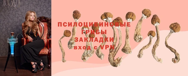 гашишное масло Аркадак