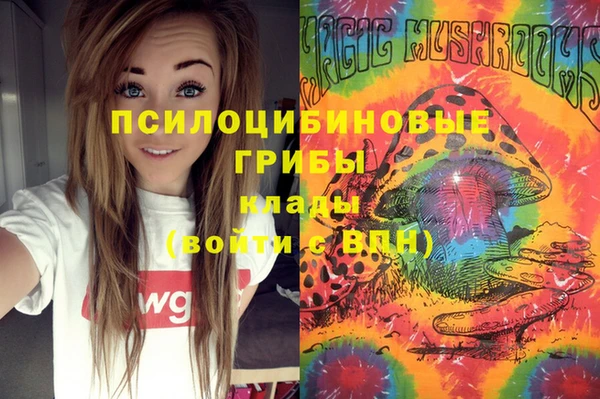 spice Армянск
