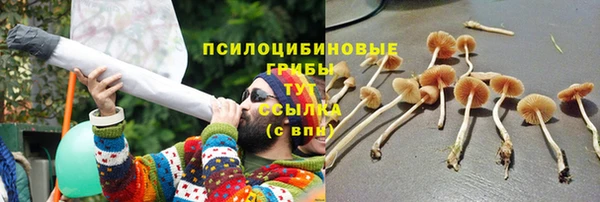 ALPHA PVP Арсеньев