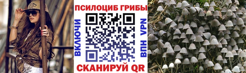 Галлюциногенные грибы прущие грибы Кинель